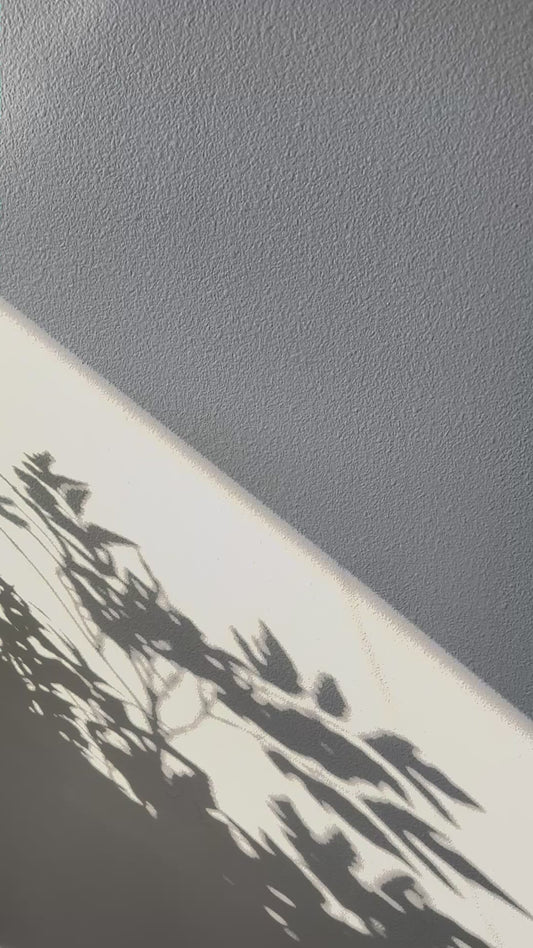 Dear Santa Embroidered Canvas Hat